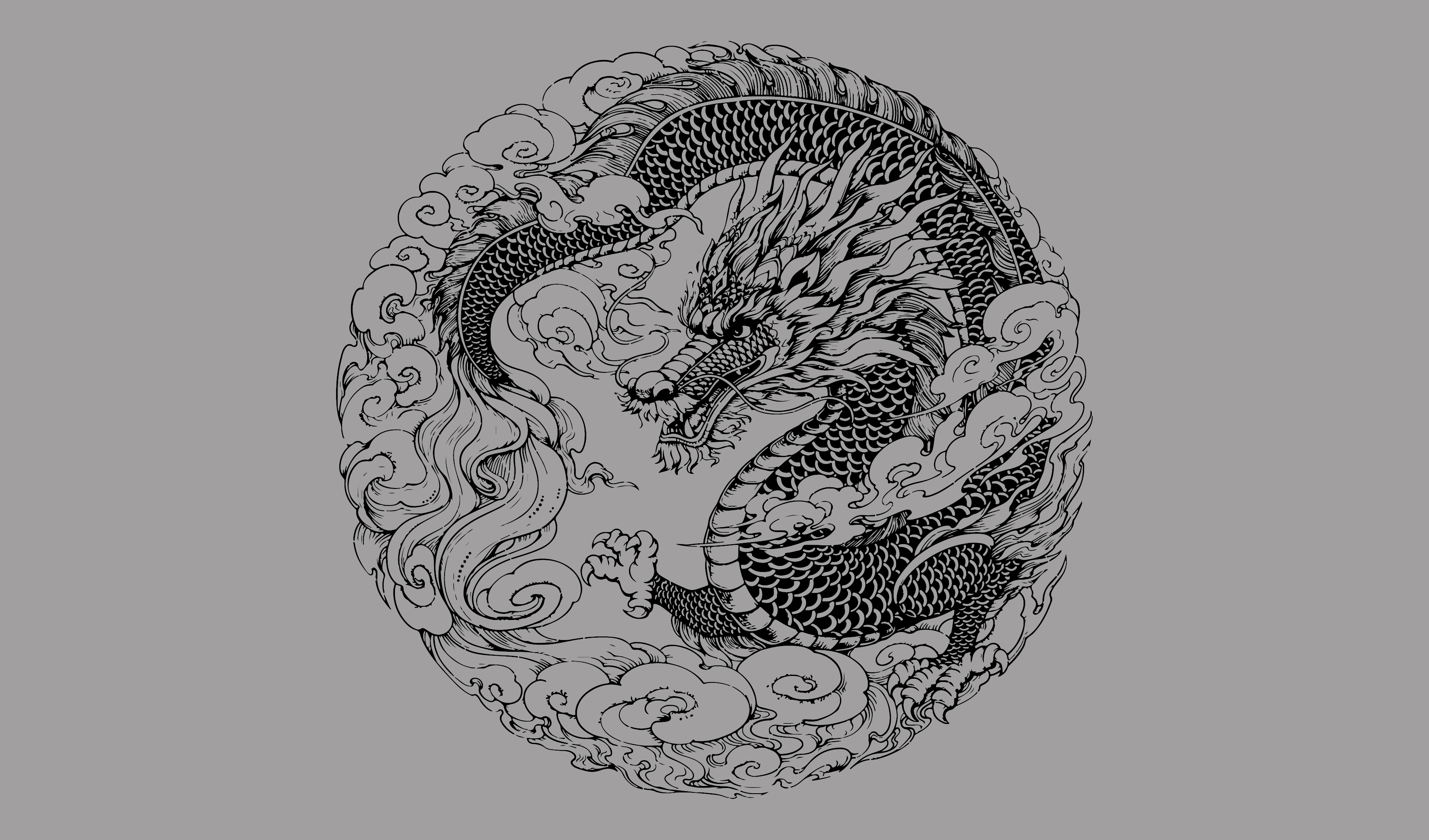 中国神龙